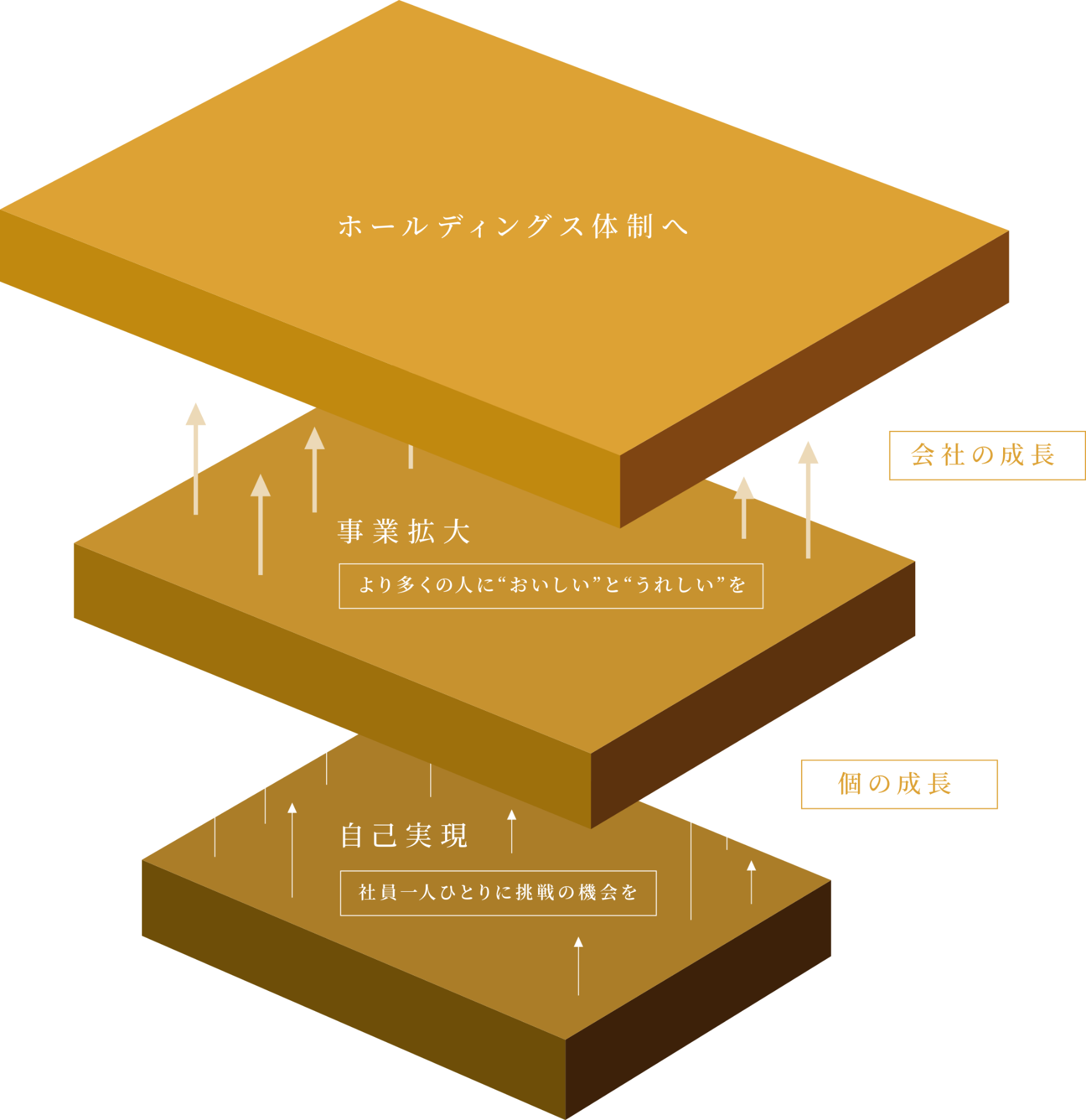 ホールディングス体制 図